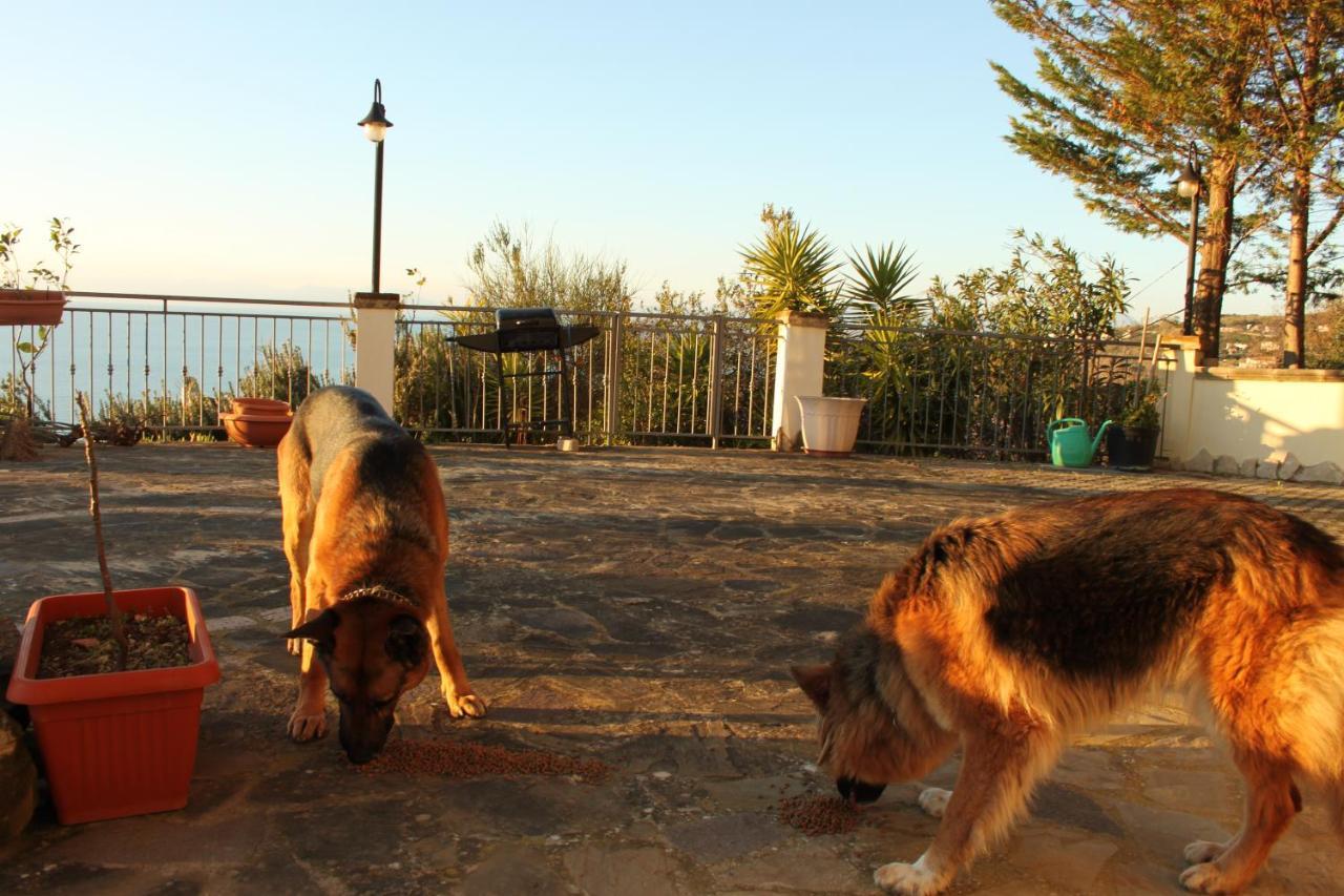 Malandrino Guest house 2*