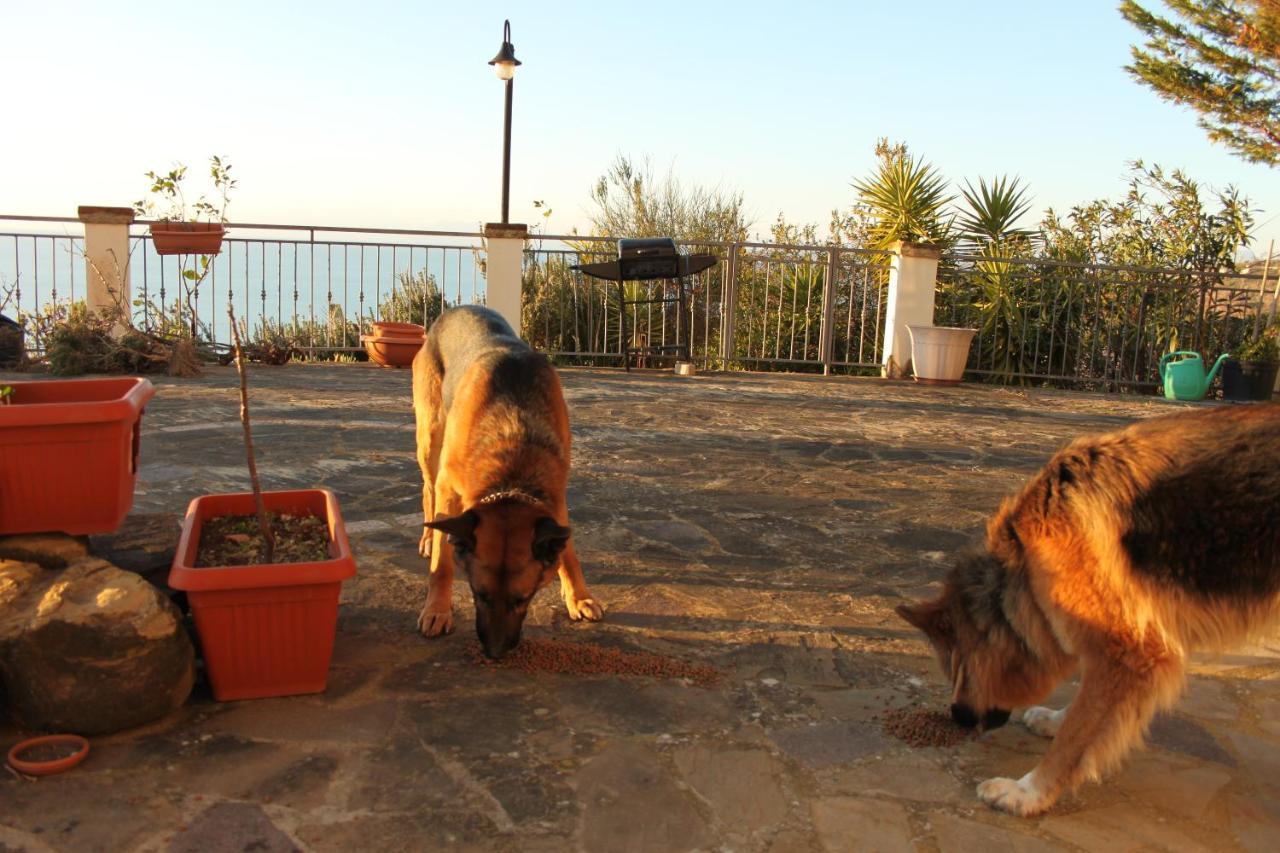 Malandrino Guest house
