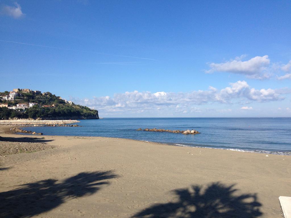 Malandrino